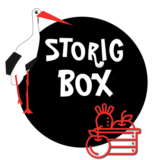 Logo Storigbox